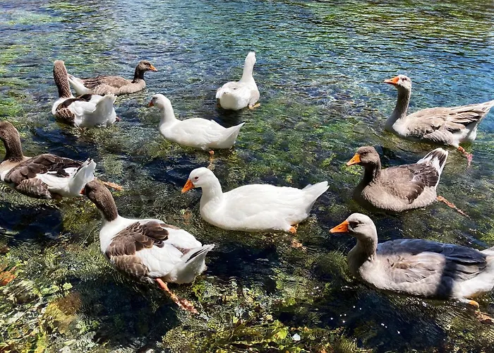 Hotel Portofino Boutique